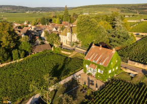 Отель La Passerelle des Corton B&B  Алокс-Кортон